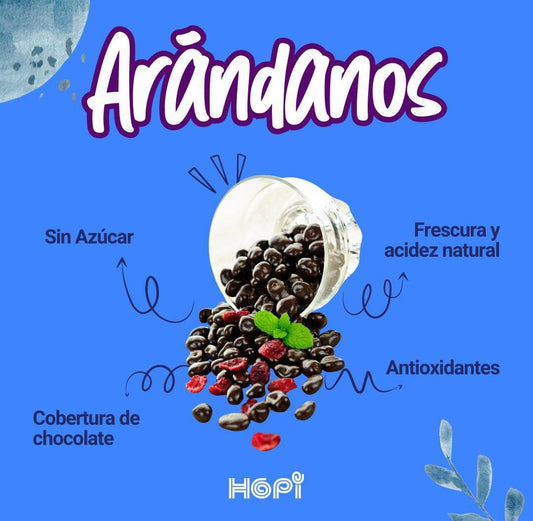 Arándanos de Chocolate Oscuro Sin Azúcar